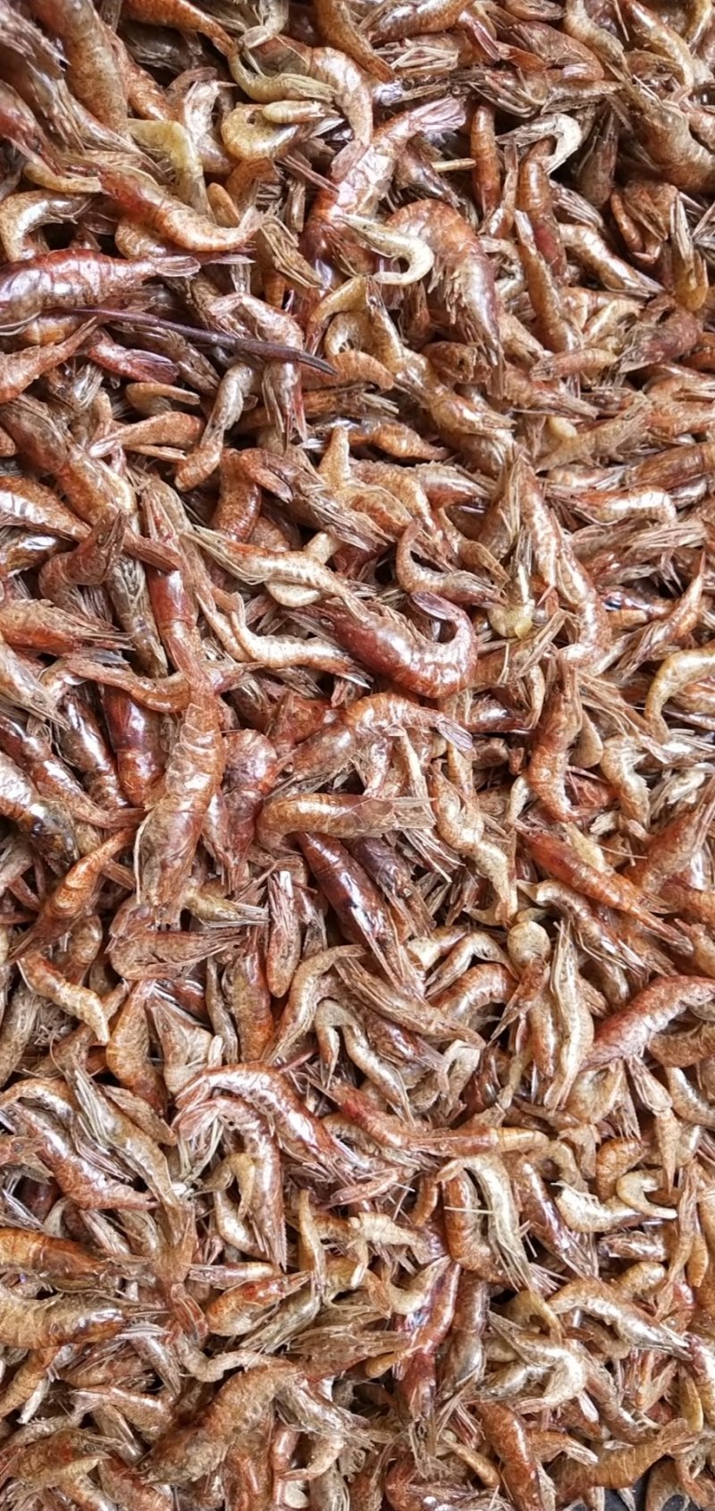 鱼干饲料鱼猫鱼风干刁油炸刁子干河虾一手货源实体店批发