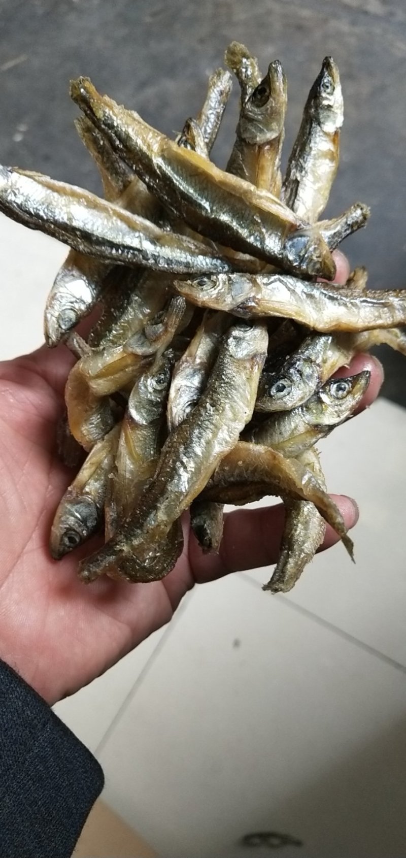 鱼干饲料鱼猫鱼风干刁油炸刁子干河虾一手货源实体店批发