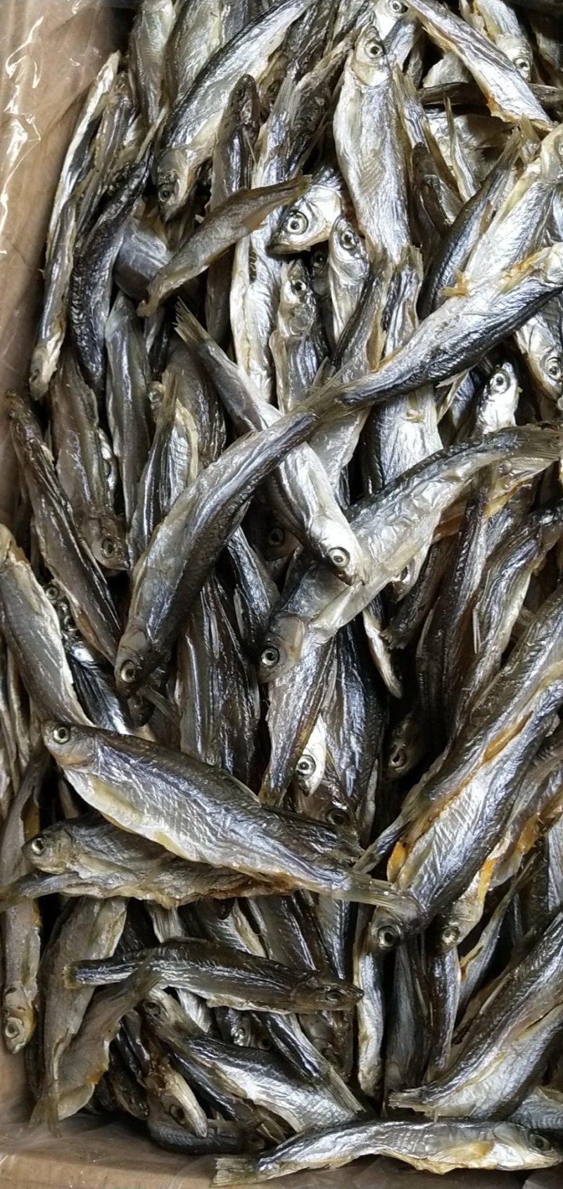 鱼干饲料鱼猫鱼风干刁油炸刁子干河虾一手货源实体店批发