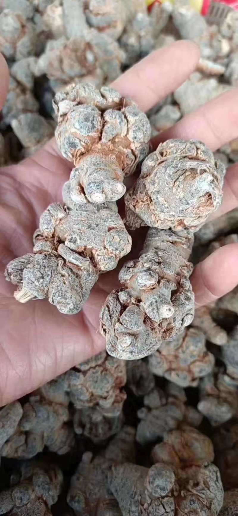 优质三七***保证价格美丽24小时在线服务