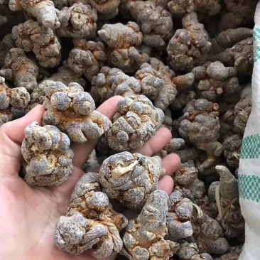 优质三七***保证价格美丽24小时在线服务