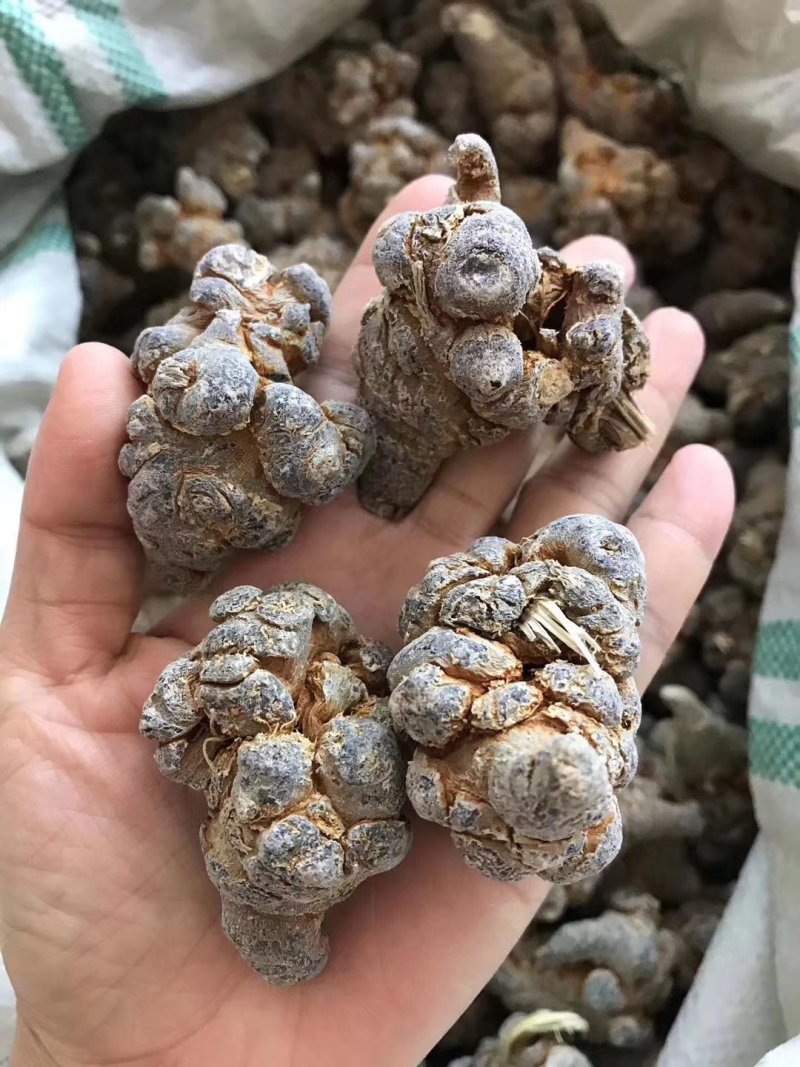 优质三七***保证价格美丽24小时在线服务