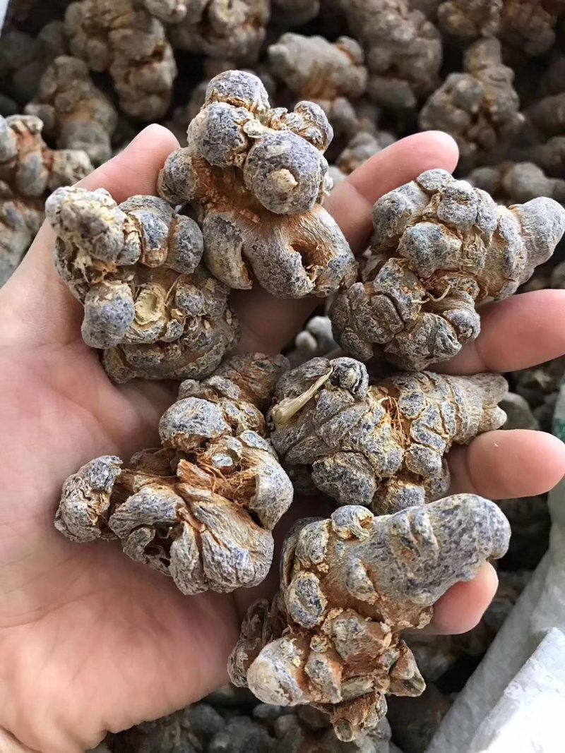 优质三七***保证价格美丽24小时在线服务