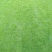 【优质】广西南宁马尼拉草、台湾草、草皮、草坪、草卷