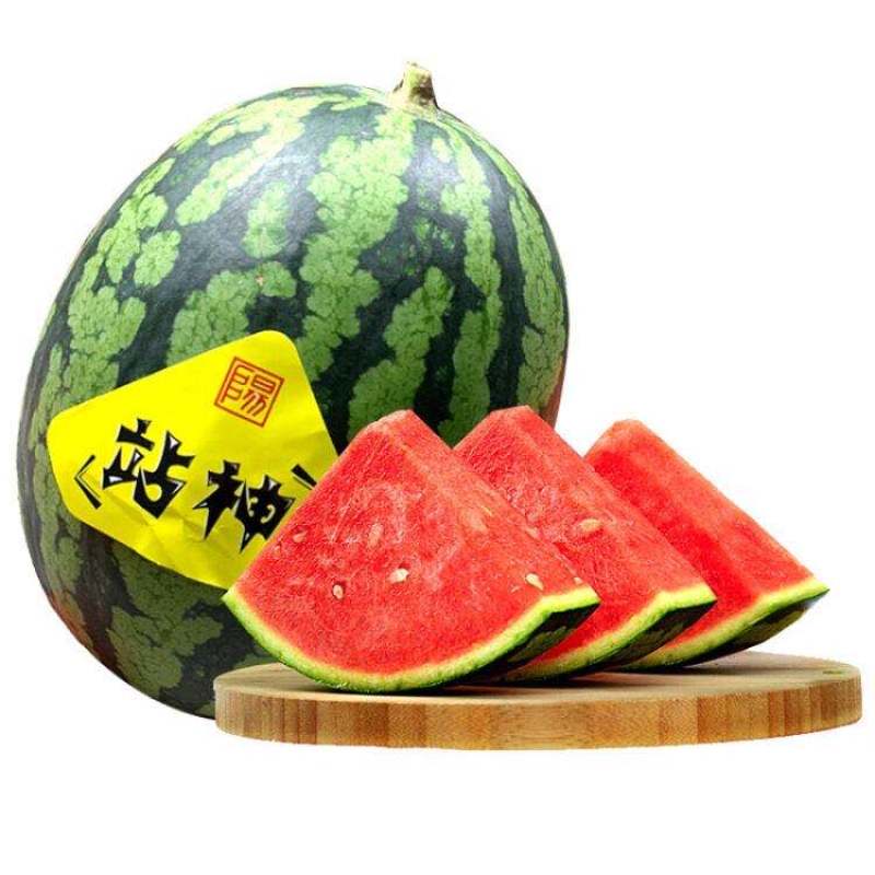 西瓜价格美丽长期供应