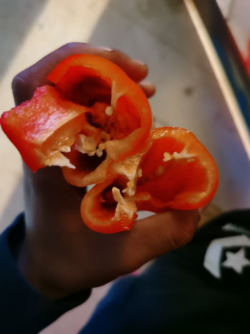 工厂用红牛角椒红牛椒现货打酱烘干