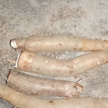 ***木薯一手货源全网低价