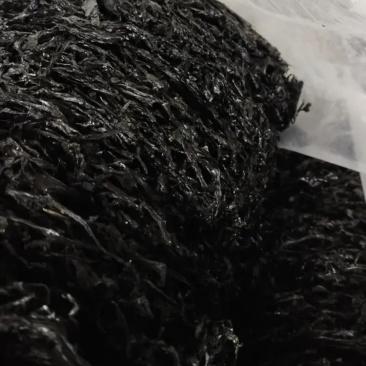 正品紫菜长期供应欢迎电话咨询