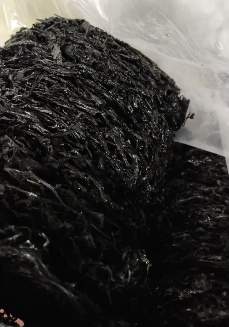正品紫菜长期供应欢迎电话咨询