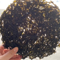 天然新鲜紫菜现货秒发量大优惠