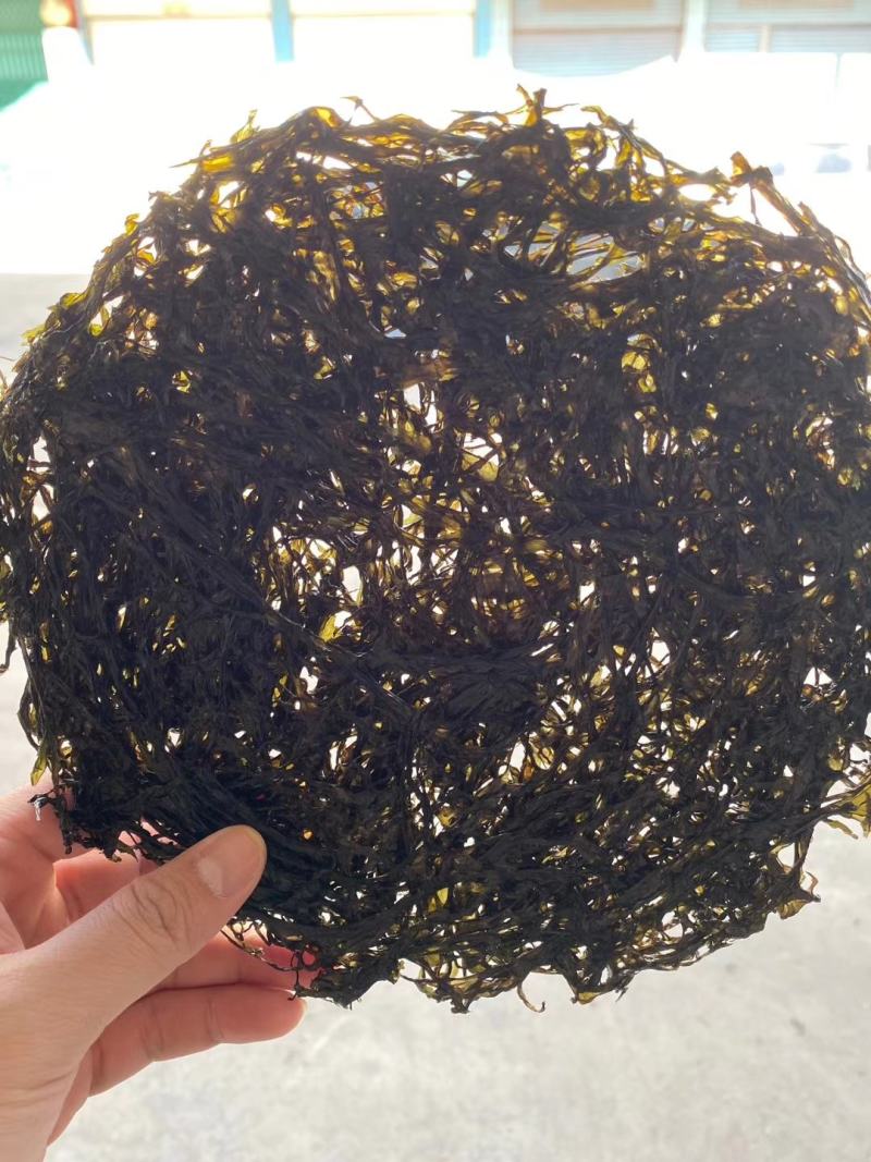 天然新鲜紫菜现货秒发量大优惠