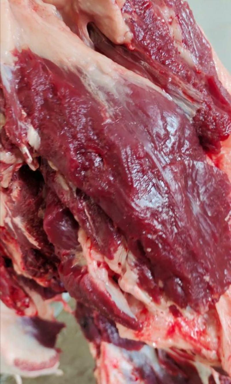 正品驴肉自有基地长期供应