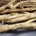 长期有货正规货源黄芪品质优良随时可聊现货供应
