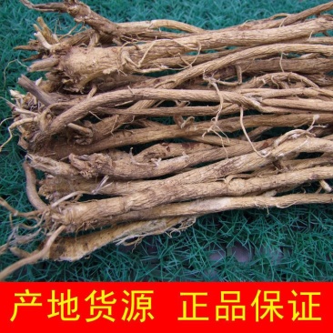 长期有货正规货源黄芪品质优良随时可聊现货供应