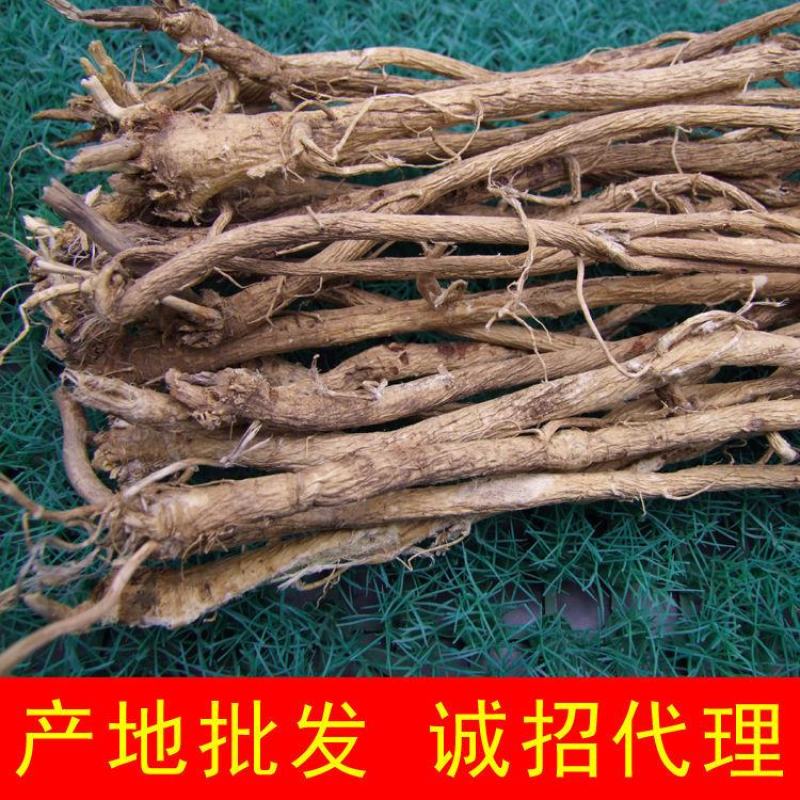 长期有货正规货源黄芪品质优良随时可聊现货供应