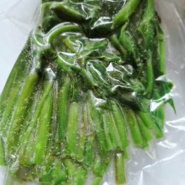 正规货源山野菜长期供货量大优惠