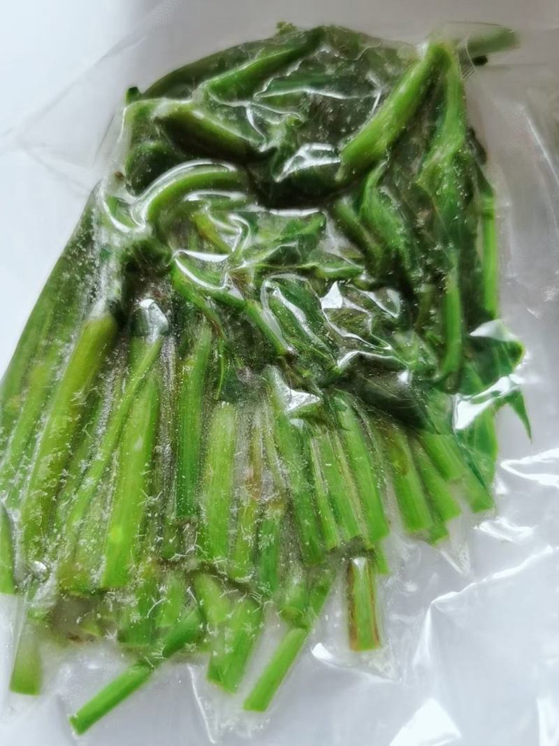 正规货源山野菜长期供货量大优惠