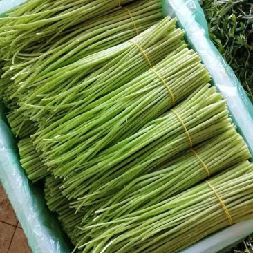 精品芦篙现货秒发价格美丽