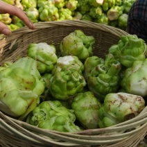 产地直发榨菜新鲜无添加长期供应