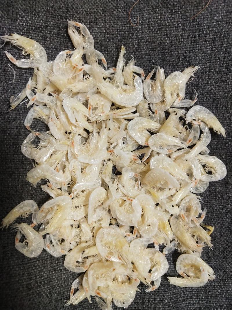 优质熟干大虾皮3000g煲汤毛虾虾米海米虾仁海鲜干