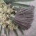 正宗天然新鲜蕨菜基地直发