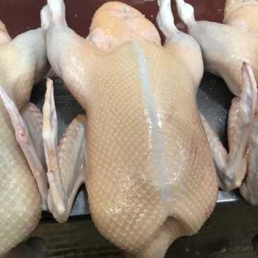 正品保障鸭肉***整箱批发随时可聊