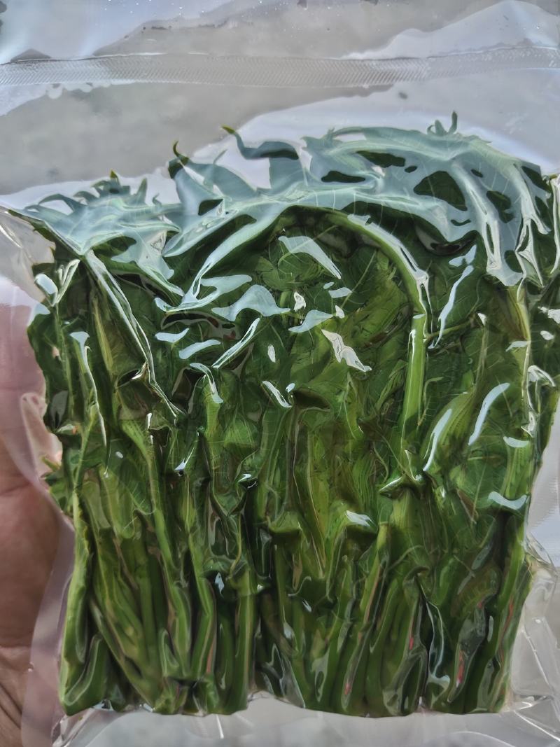 精品山野菜全网低价现货秒发