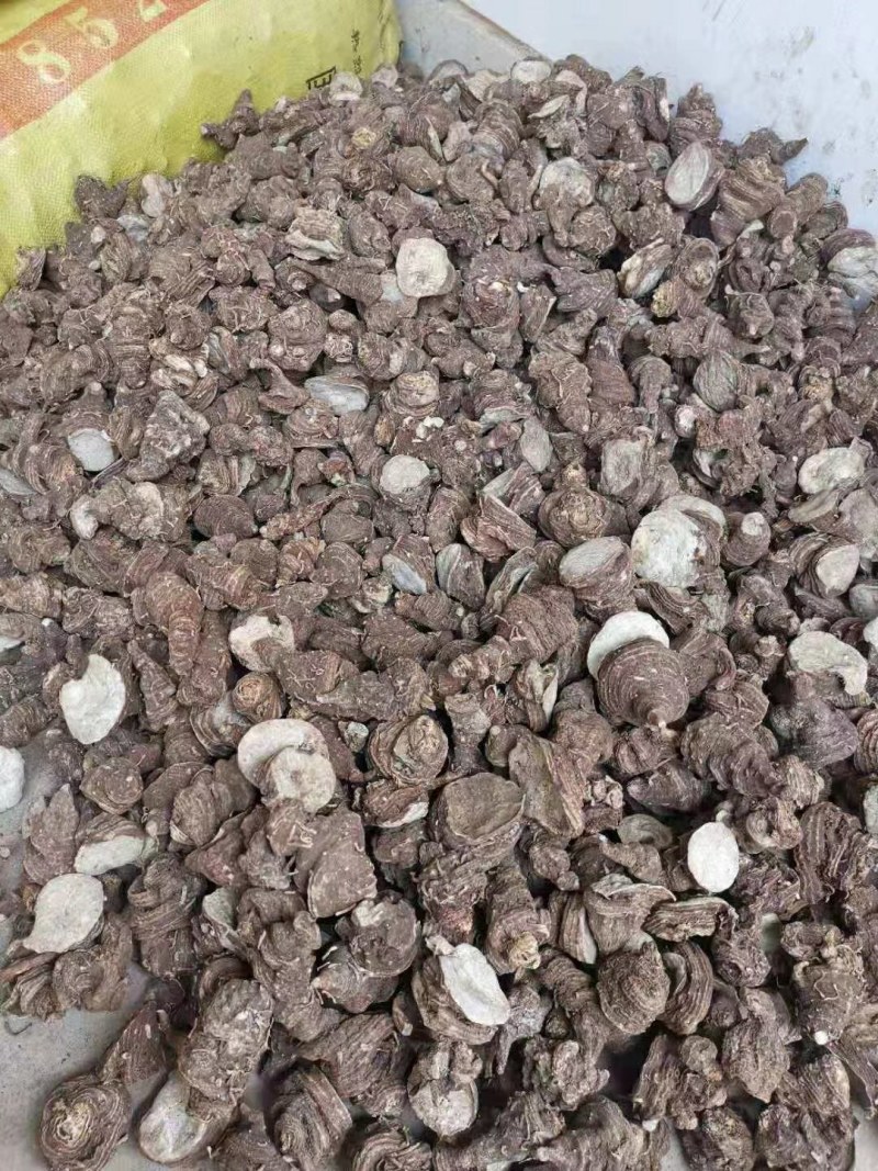自产自销量大从优长期有货重楼鲜果直供干重楼