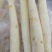 应季芦笋全国供应量大优惠