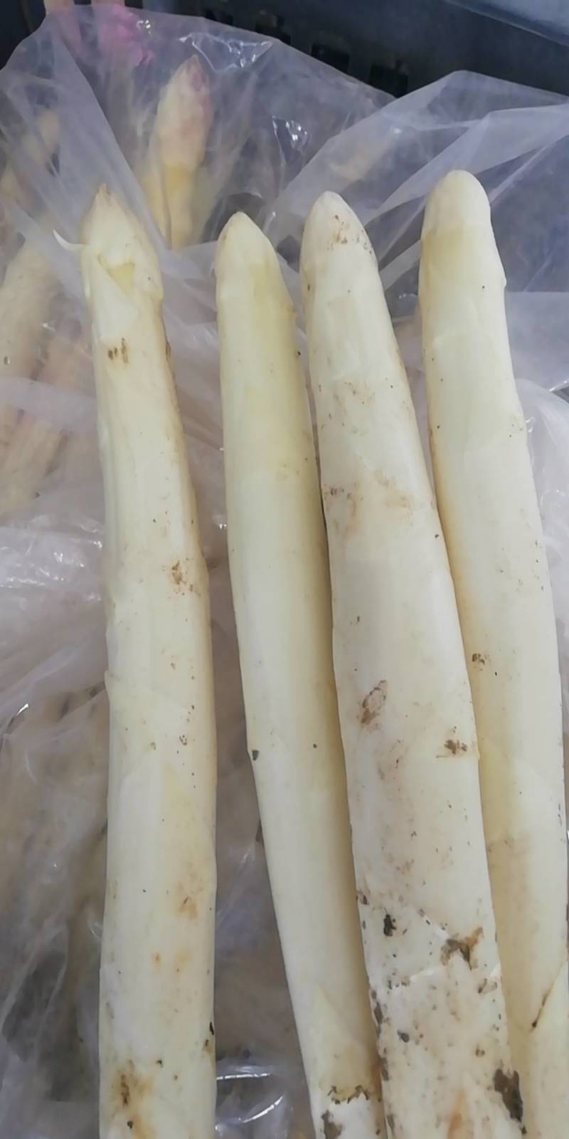 应季芦笋全国供应量大优惠