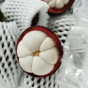 山竹精品全国包邮下单秒发