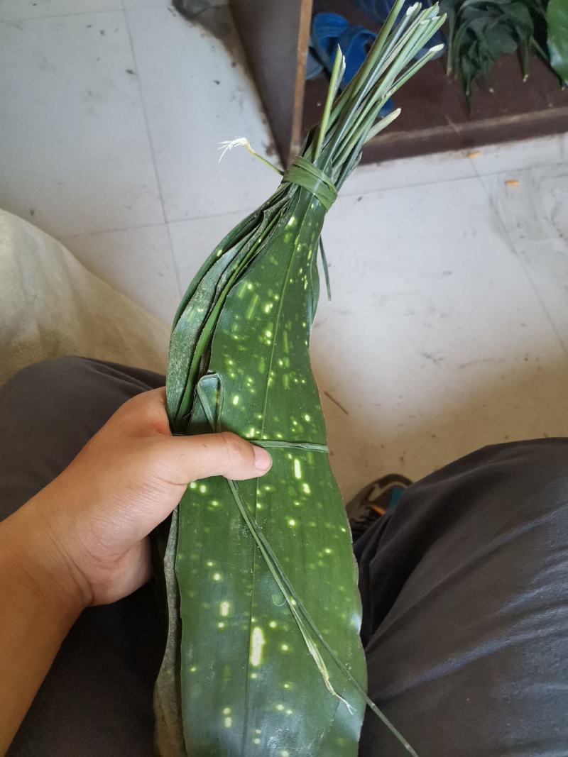 网红产品粽叶，精选新货源，价格美丽