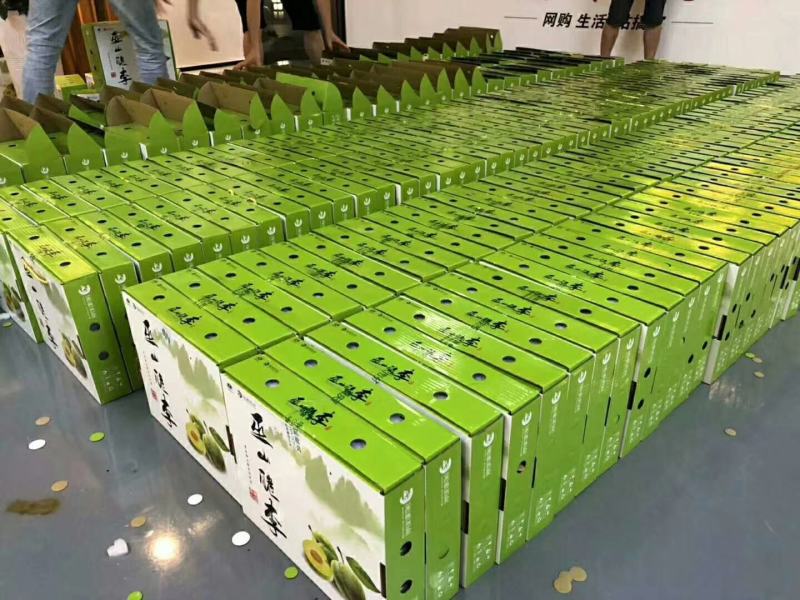 中华名果巫山脆李专业代办电商一件代发
