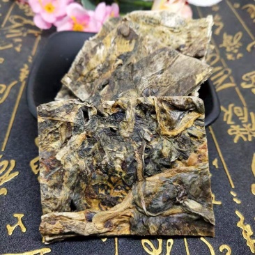 精品大量药用蟾蜍合作养殖投资9000一亩地产出3万