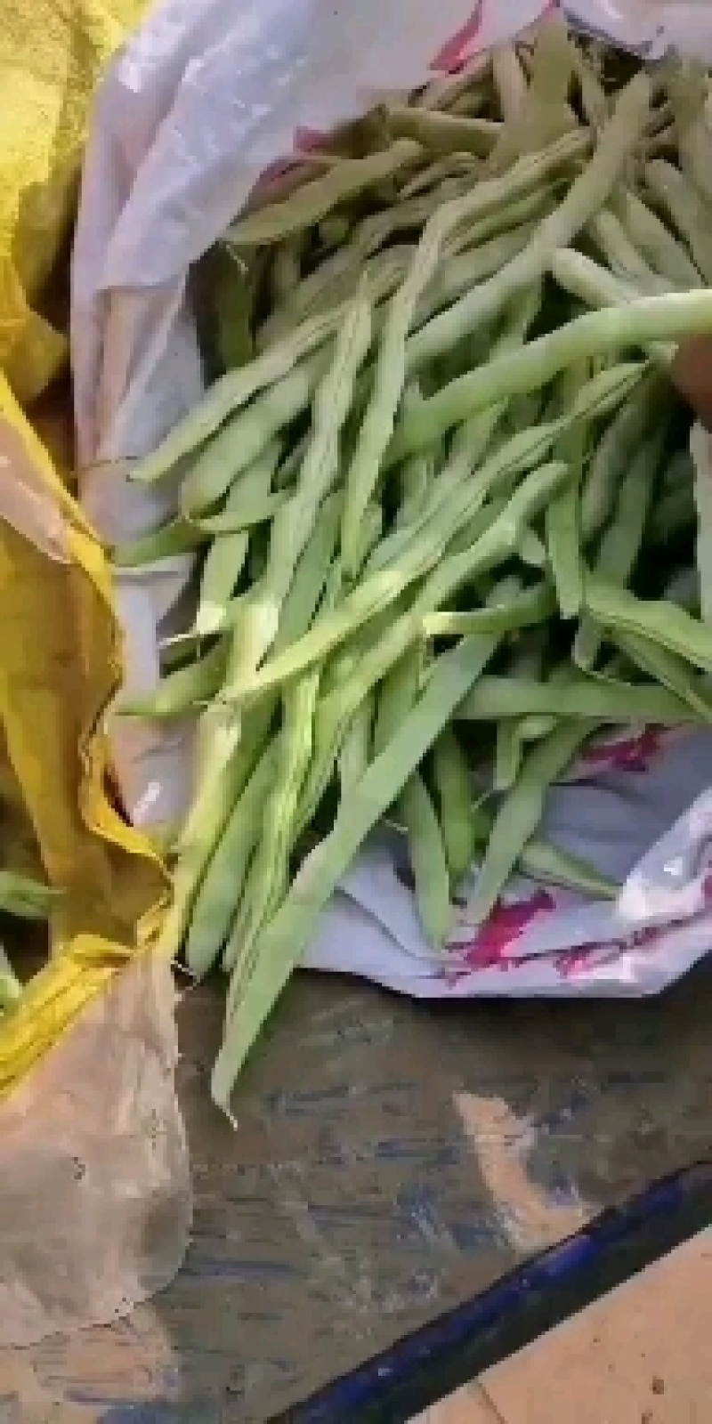 白豆角，白芸豆，白不老，大量上市，产地直供，货源充足，