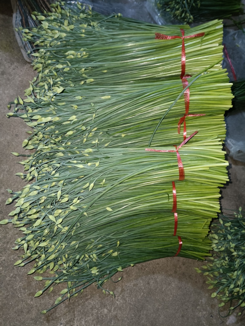 应季韮苔现货秒发价格美丽欢迎联系