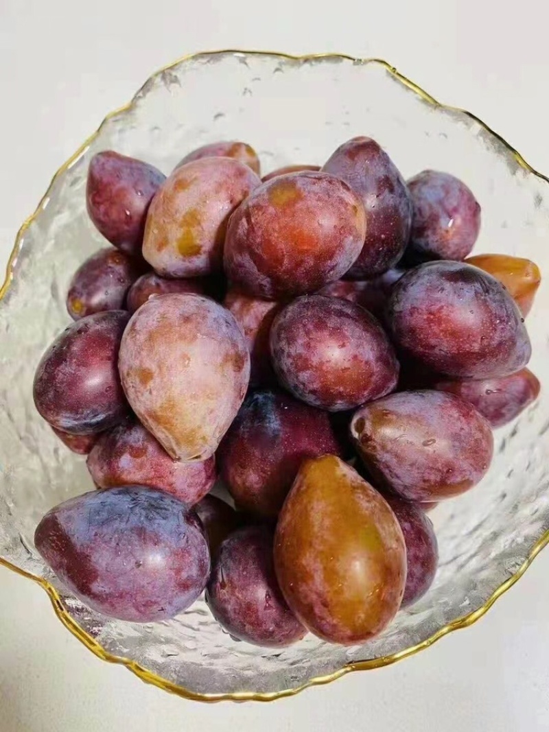 西梅应季精品直发