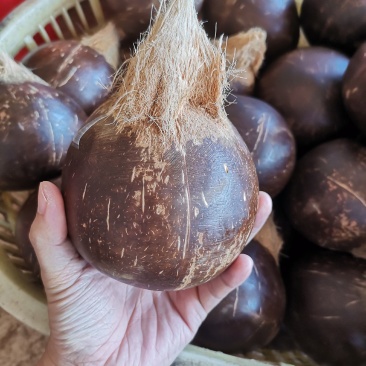 椰子精品现货秒发欢迎联系