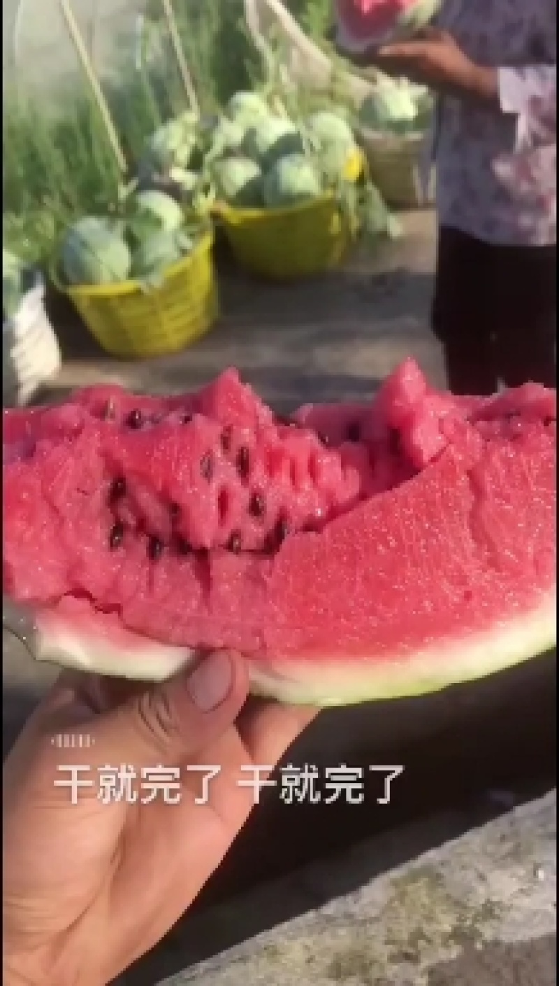 甜王，美都，麒麟瓜大量现货供应