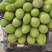 正品保障应季菠萝蜜源头供应