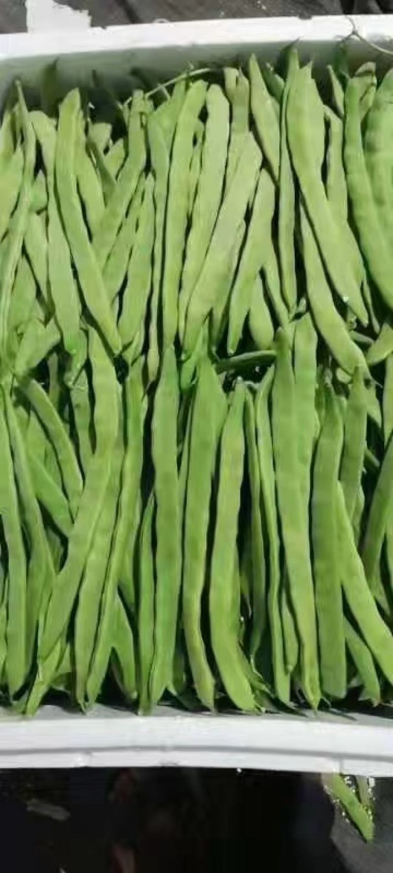 正品保障芸豆电商供货全网低价