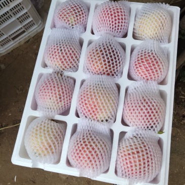 石榴一件代发量大从优