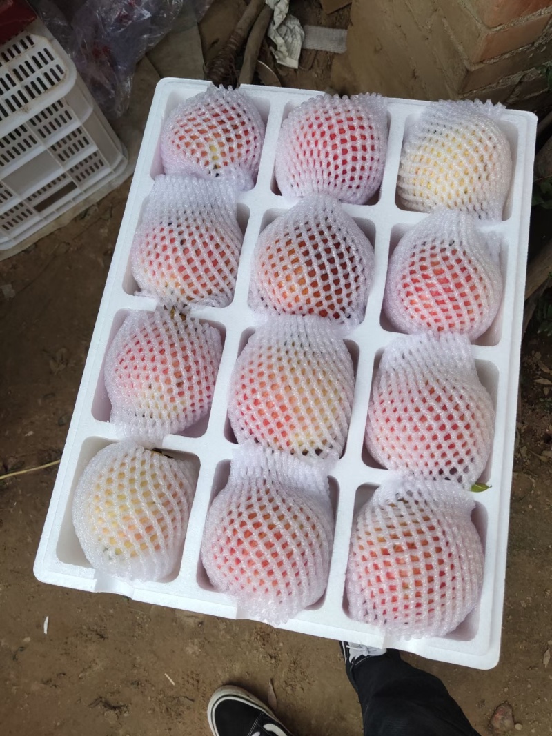 石榴一件代发量大从优