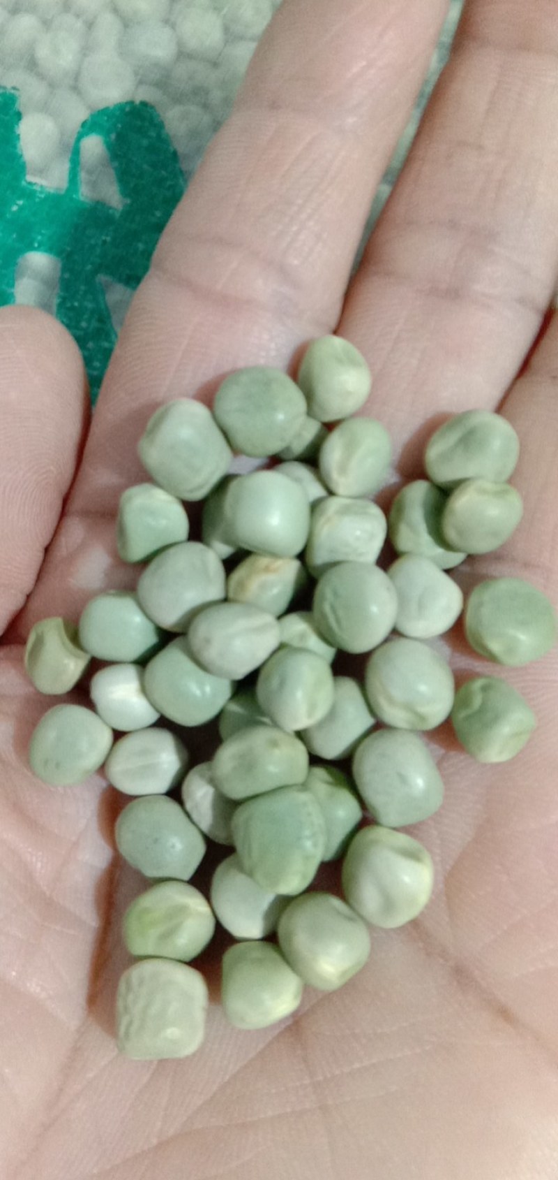 规格齐全豌豆长期供货价格美丽