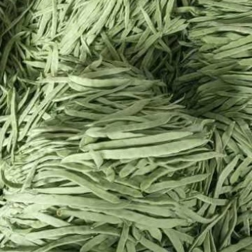 正宗豆角保质保量超高性价比欢迎联系