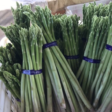 天然新鲜芦笋一件代发量大优惠