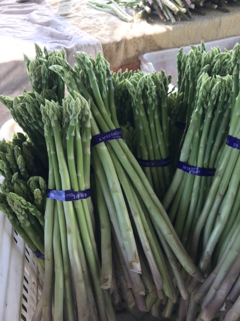 天然新鲜芦笋一件代发量大优惠