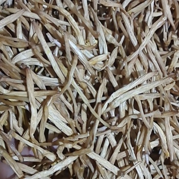 自产自销黄花菜保质保量价格美丽