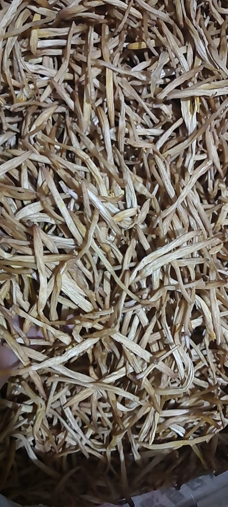 自产自销黄花菜保质保量价格美丽