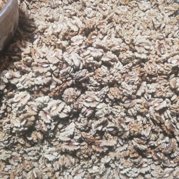 原产地核桃仁正品保障全年备货